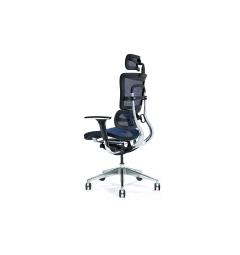 Sedia ergonomica da ufficio blu con supporto lombare ERGO-Arrediorg